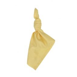 mustard yellow pure linen napkin